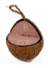 Love Wildlife Fruit & Berry Whole Coconut